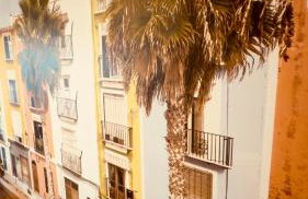 T2 Tout confort TV 55' avec canal séries netflix Disney Dazen Bein sport apple TV OCS paramount prime vidéo - Foto 5