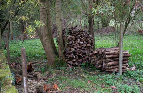 Huis op een eiland in de Loire - Photo 26