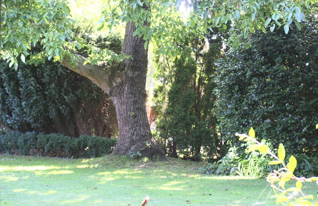 Walnut Grove Lodge - Foto 73