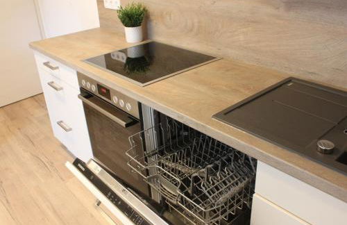 Landgasthof Lamm Ferienwohnungen - Foto 16