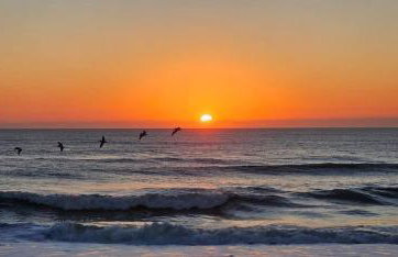 Elegant Updated Oceanfront Home with Pool & Hot Tub - Photo 10