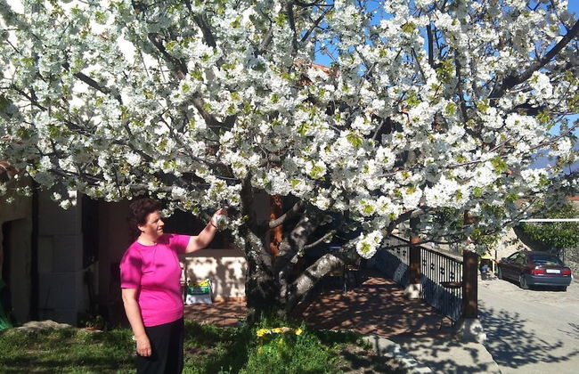 Casa Rural El Regajo Valle del Jerte - Foto 31