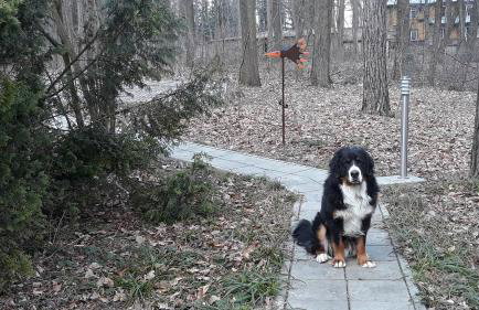 Dom w Jaśminach - Foto 20