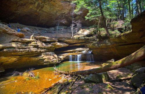 Burton Ridge Cabin - Foto 3