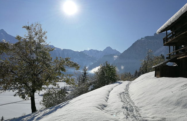 Apartment in Hippach Near Mayrhofen Ski Area - Foto 32