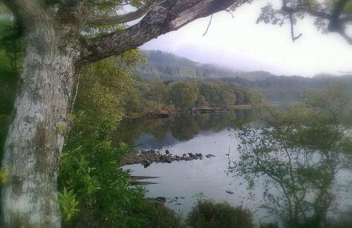 Fern Lodge - Foto 28