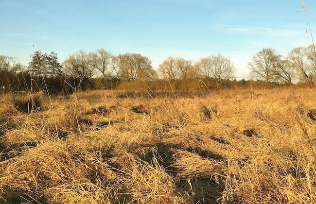 Dragons Nest: Cozy & Modern Attic Loft Nuremberg - Foto 67