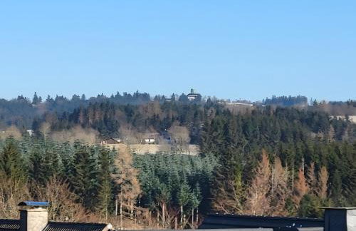 Weitblick Winterseite - Photo 25