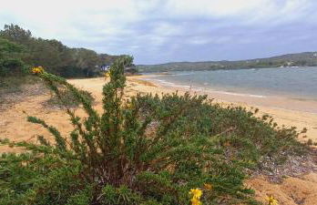 Appt neuf 2-4 pers avec loggia - Piscine chauffée - Bord de mer - Corse du Sud- Bonifacio - Foto 72