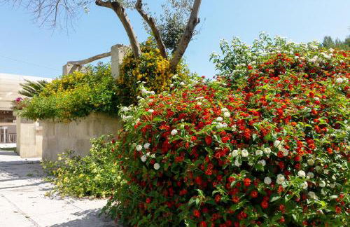 La Casina Di Borgagne - Foto 43