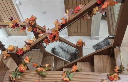 Clifton Cottage at Lovelady Shield - Foto 19