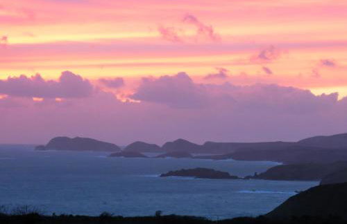 Skomer View Solva - Foto 15