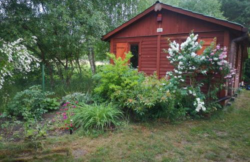 domki domek na jeziorem Wilczyńskim Budzisławskim , las, osobno ogrodzony 2-6 osób- klimatyzacja, ogrzewanie, 62-550 Zygmuntowo gm Wilczyn - Foto 6