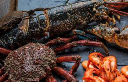 Estudio impresionantes vistas con terraza y piscina - Foto 26