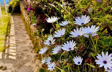 Glaz Ocean - Foto 47