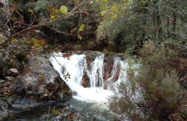 Casas Rurales Prunus Avium - Photo 86