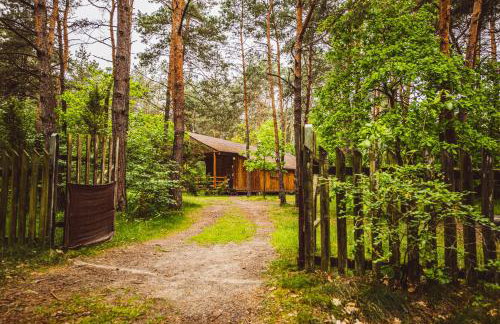 Autumn Nature Cottage Stove Garden by PolandBnB - Foto 32