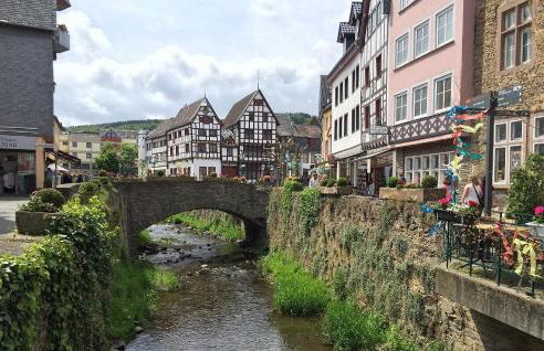 Villa Schonau Apartment 2 in Bad Munstereifel - Foto 59