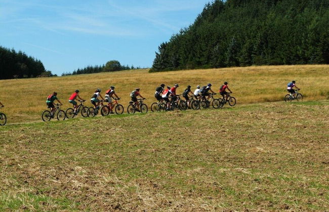 Uitzicht op de Pellenz - Foto 8