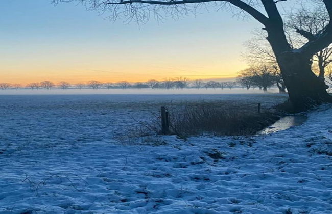 Chalet in Holiday Park With Private Terrace - Photo 27