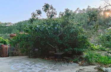 Azoka by the River- Proença-a-Nova - Foto 24