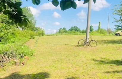 Cascina Baracico, circondati dalla natura - Foto 58