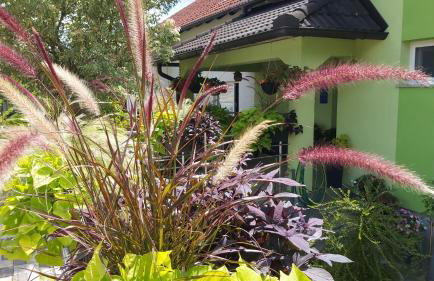 Studio apartman GRIZZLY - Foto 25