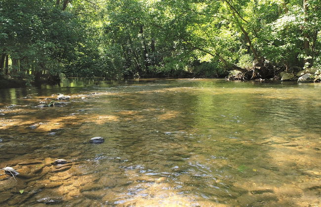 Yellow Cabin On The River 2 Bedroom Cabin by RedAwning - Photo 20