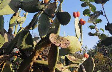 Villa Mios - Foto 33