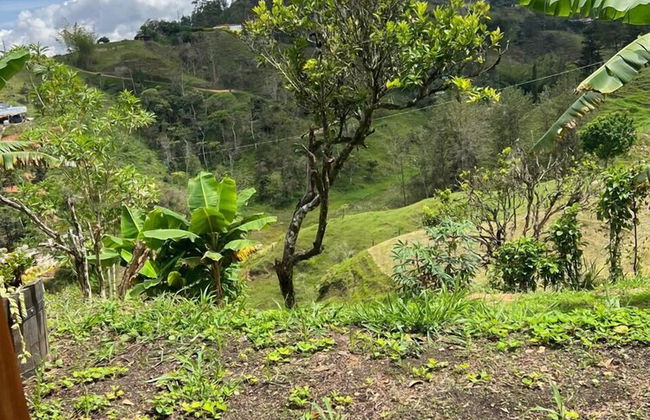 Ecoedén Glamping - Photo 32