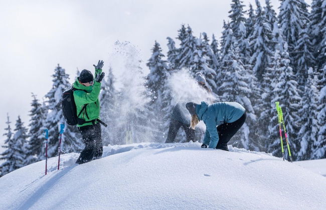 Chalet in Zillertal Near Ski Slopes - Foto 30