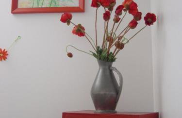 Les Coquelicots - Foto 8