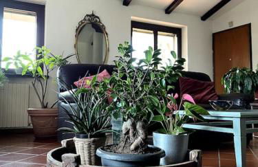 Apartment in Villa La Carruba - Photo 8