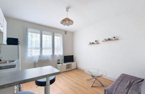 T1 bis Dijon - Foto 8