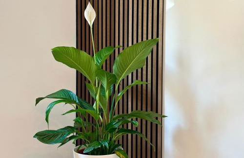 Ferienwohnung Rheingrafenblick mit Infrarotkabine - Foto 15