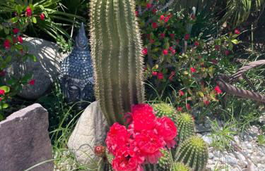 Mineral Saltwater Solar heated Pool & Spa Oasis with mountain views and Koi pond - Foto 80