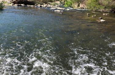 Casa Rural las Rosas de Benaojan - Photo 65