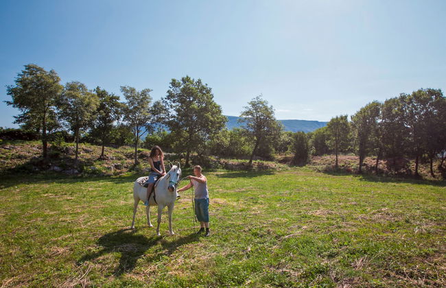 Villa Palachina Antishova - Foto 21