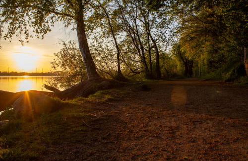 Ferienhaus Kleine Freiheit am Badesee - Foto 28