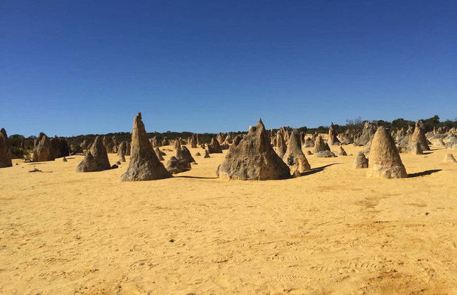 Private Day Trips from Perth - Photo 1