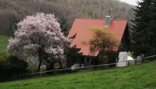 Ferienhaus Aschoff - Foto 3