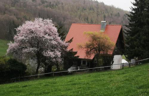 Ferienhaus Aschoff - Foto 3