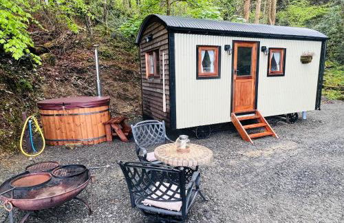 Romantic Shepherds Hut with Hot Tub in The Heart of Snowdonia - Foto 4