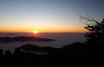 Ferienwohnung Schwarzwaldblick - Foto 14