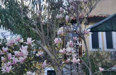 Villa Velika GR - Foto 26