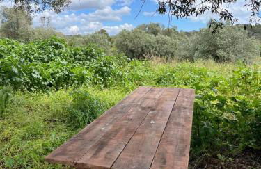 Rural old house with Vintage Furniture - Foto 53