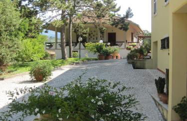 Valle degli Ulivi appartamento - Foto 1