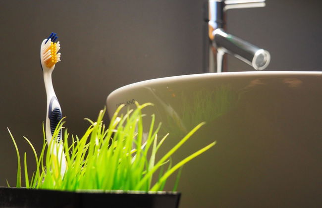 Rothenbach - Foto 41