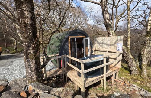 Ash Cabin with Hot Tub - Foto 31