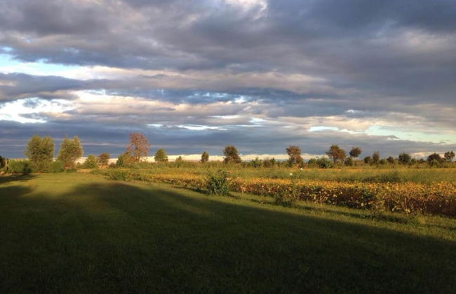 Venetian Villa With Pool and Sauna - Foto 35